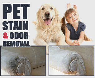 Upholstery Cleaning The Woodlands TX